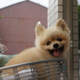 Illustration for article titled My Holiday In Japan - MASSIVE PHOTODUMP